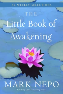 Little Book of Awakening